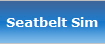 Seatbelt Sim