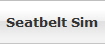 Seatbelt Sim